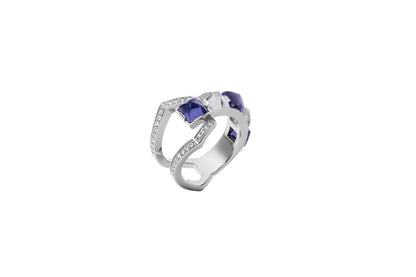 Arc Ring_WG × Iolite × Crystal